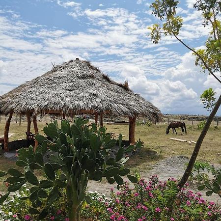 Pachingo Tatacoa Desert La Victoria  Экстерьер фото