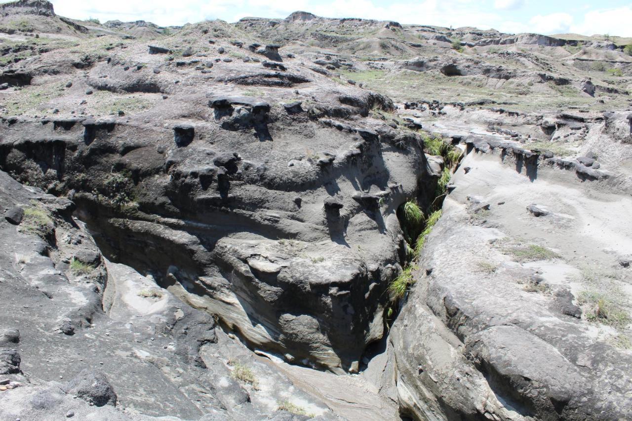 Pachingo Tatacoa Desert La Victoria  Экстерьер фото