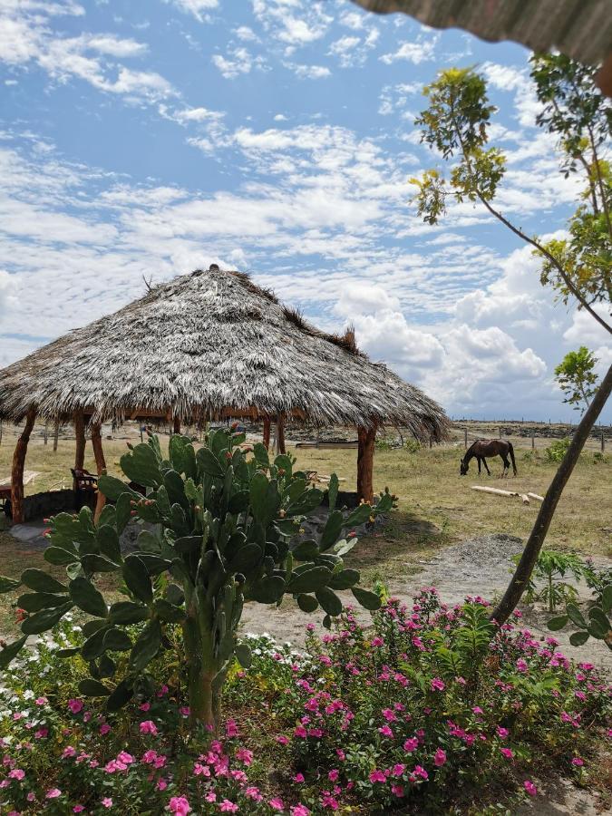Pachingo Tatacoa Desert La Victoria  Экстерьер фото